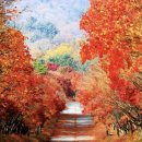 단풍나무숲길 트레킹11월1일 토요일 이미지