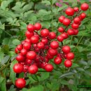 남천맥한의원 이미지