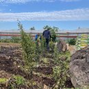 하례2리 마을회관 이미지