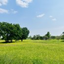 황룡공원 화장실 이미지