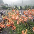 상아어린이공원 이미지