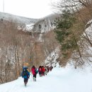 93회 버스도보 (2024.2.24) 운탄고도 5길 중 만항재를 걷다 이미지