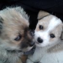 꿈나라민박 이미지