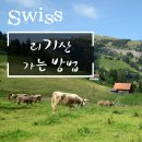 트립포미 이미지