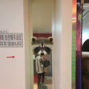 너구리노래연습장 이미지