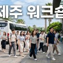 제주 워크숍 준비, 여름 성수기 예약 타이밍과 코스 총정리