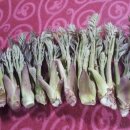 호접치자연팜 이미지