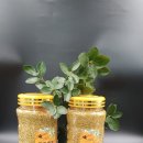 산삼골꿀벌영농조합법인 이미지