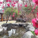 덕유산송계산장 네이버블로그