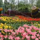 국제문화교류관 야외정원 이미지