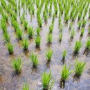 수인스킨케어 이미지