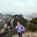 성문중학교 이미지