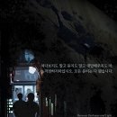 명보1관 | 20251126 _ 완벽한 도미요리 / 숲 / 몸값 / 12번째 보조사제 @ 서울영화센터