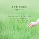 숲속의 하루 이미지