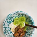 데이데이그릭 이미지