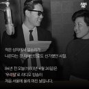 고양이라디오 SBS