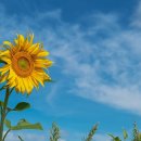 킵스골프연습장 이미지