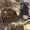 눈늪목장 이미지