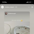 모디스트 임팩트