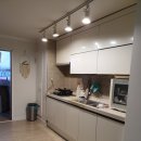 사파동262 이미지