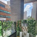 에스샵헤어 이미지