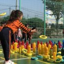 코끼리 환경 이미지