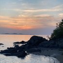 카우스톨 이미지