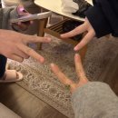 온게스트하우스 | [부산] 여자 혼자여행 더뷰게스트하우스 리얼후기