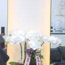 헤어소담하다