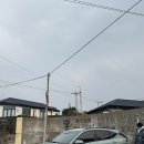 스테이 매기 이미지