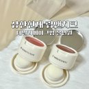 앤소프트 | 샵한현재 립앤치크 추천｜올인원 데일리메이크업 소프트 벨벳 립앤치크 후기