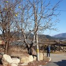 치산경로당 이미지