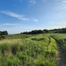 양동목장 이미지