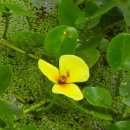 강원감영 이미지