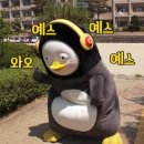 배달음식 어디까지 먹어봤니?내돈내먹::조한준의 물고기이야기 배달회 제 점수는요 10점입니다