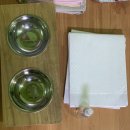 솔치송어파티 | [내돈내산] 강원도 원주 반려견 동반 펜션 솔치송어파티펜션 방문 후기