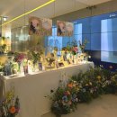 Noi | ’Wedding day at Tra di noi‘ 트라디노이 본식 후기 • March 2025🌼