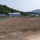 신니면사무소 이미지