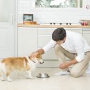 불리빌로우코리아센터 이미지