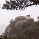 광호주유소 이미지