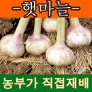 기쁨뜨락농장 이미지