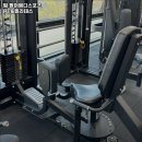 팔머메디스포츠