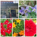 사마르예천 이미지