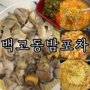 대구와룡초등학교 | 성서 계대 동문 맛집 해산물 술집 백고동밤포차