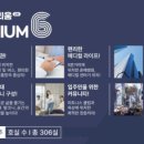 스테빌리움 이미지