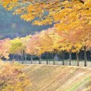 크리스탈 오토샵 이미지