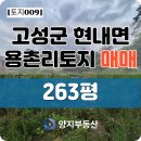 다미솔