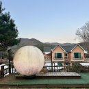 콩밭매는 강아지 이미지