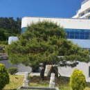 통영동원리조트글램핑 이미지