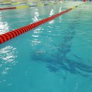 월명실내수영장 이미지